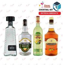 Tequila 1800 Cocktail Kit Downhome Punch - Cavas Towns