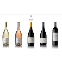 Vino Tinto Obalo Joven San Roque Rioja 750 ml - Cavas Towns