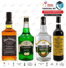 Licor Flamingo de Melon 1 L - Cavas Towns